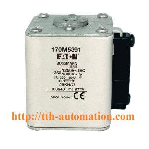 cau chi bussmann 170M5391 cau chi bussmann 170M5391