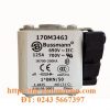 CẦU CHÌ BUSSMANN 170M3463 2 cau chi bussmann 170M3463