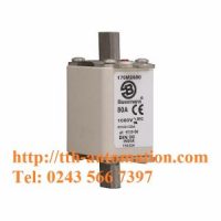 CẦU CHÌ BUSSMANN 170M2680