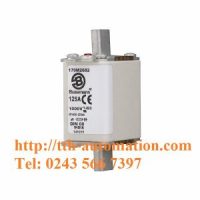 CẦU CHÌ BUSSMANN 170M2682