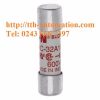 CẦU CHÌ BUSSMANN FWC-32A10F 4 cau chi bussmann FWC 32A10F