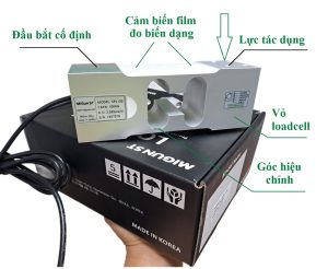 Loadcell-Cảm biến trọng lượng là gì? Cấu tạo, nguyên lý hoạt động và cách kiểm tra loadcell 3 chi tiết các bộ phận cấu thành lên load cell như thân, cảm biến film, dây cáp kết nối load cell