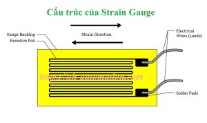 Loadcell-Cảm biến trọng lượng là gì? Cấu tạo, nguyên lý hoạt động và cách kiểm tra loadcell 7 Tế bào màng film là phần quan trọng được lắp đặt trong các load cell
